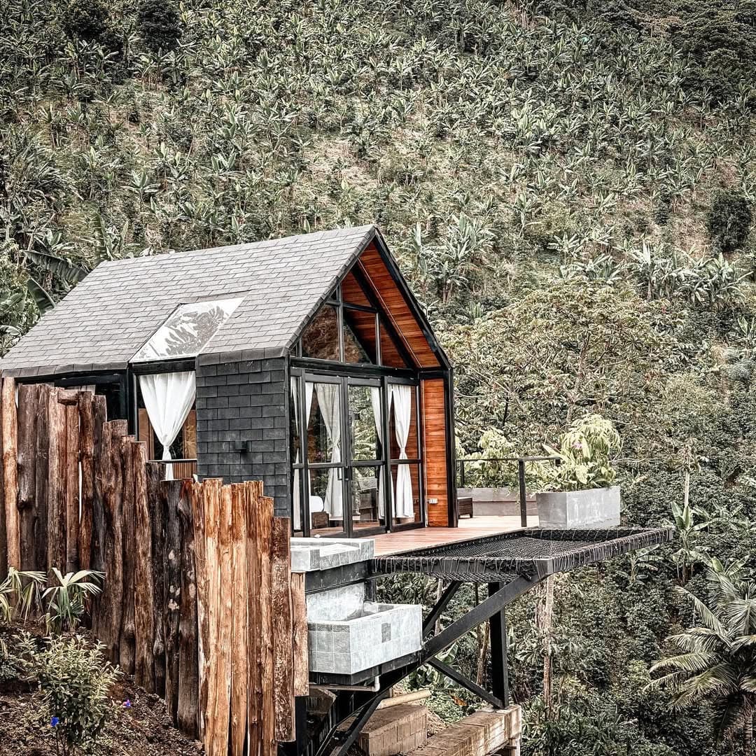 SELVA NEGRA — imagen principal