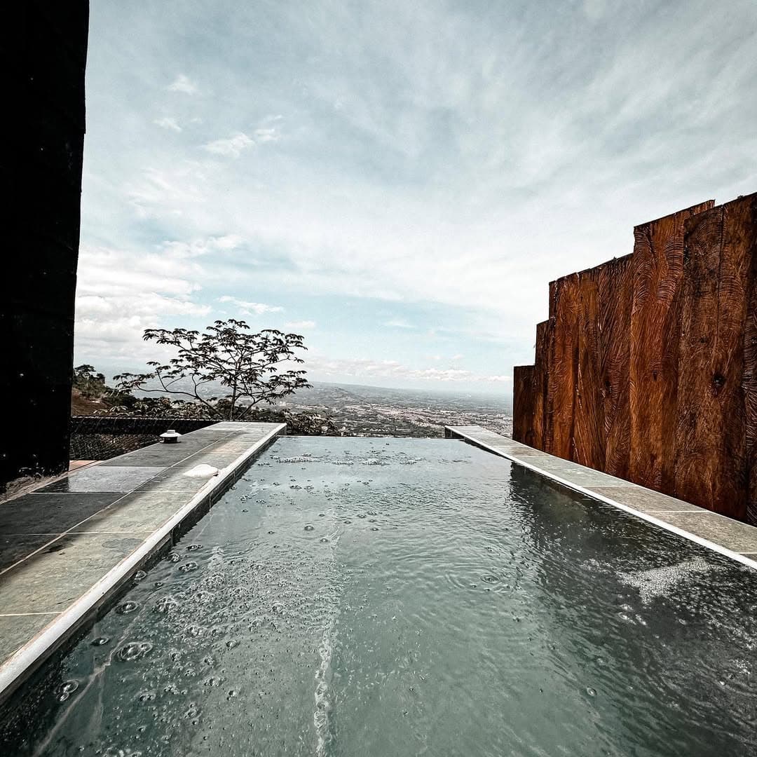 SELVA NEGRA — imagen 5