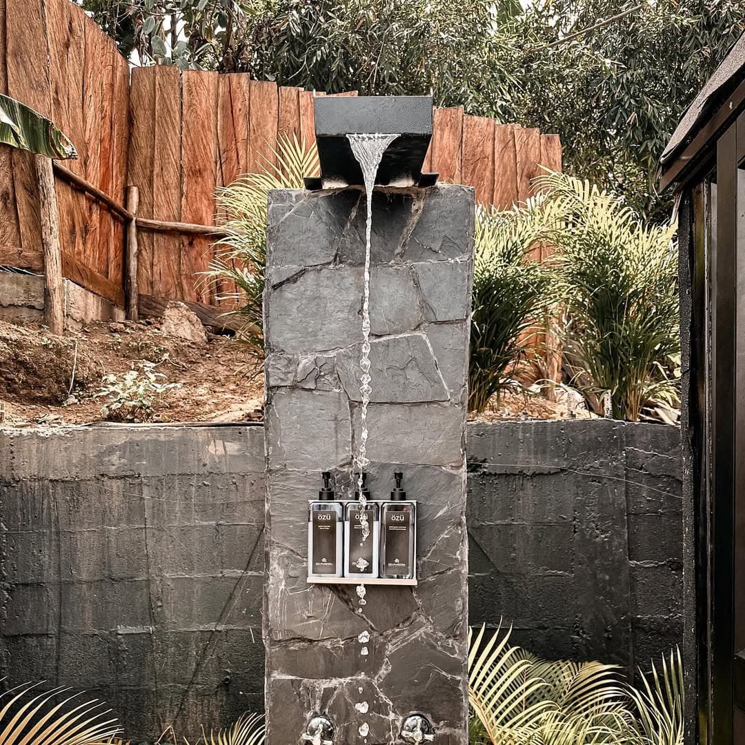 SELVA NEGRA — imagen 6