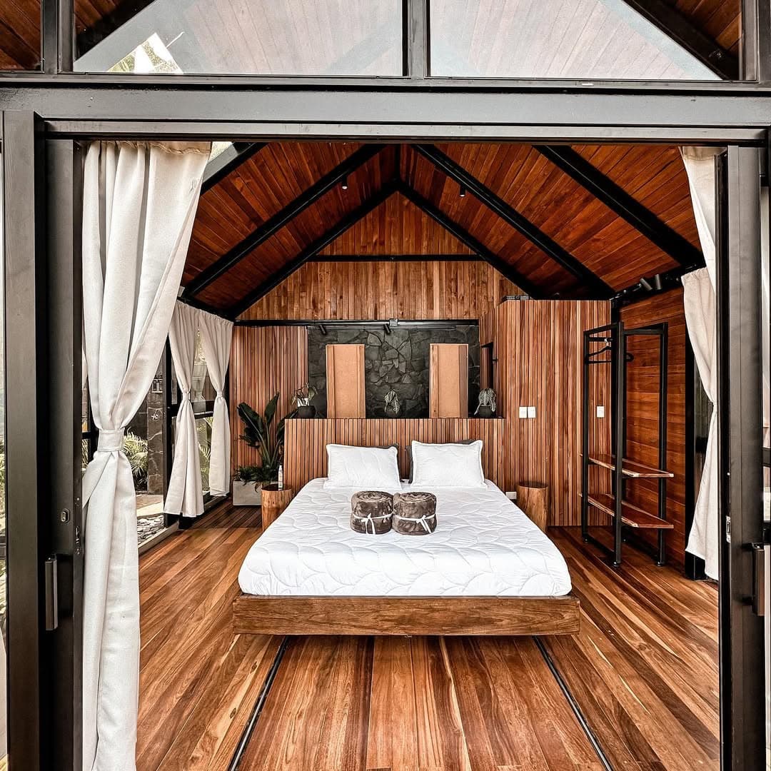 SELVA NEGRA — imagen 7