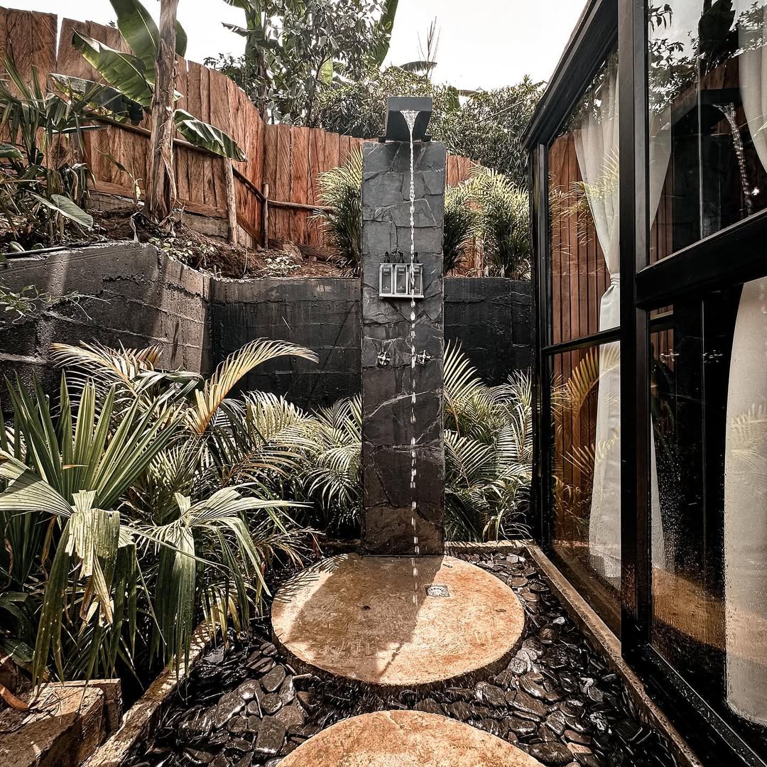 SELVA NEGRA — imagen 3