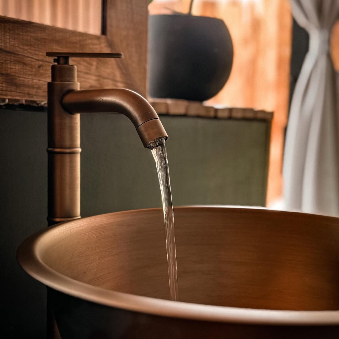 SELVA NEGRA — imagen 4