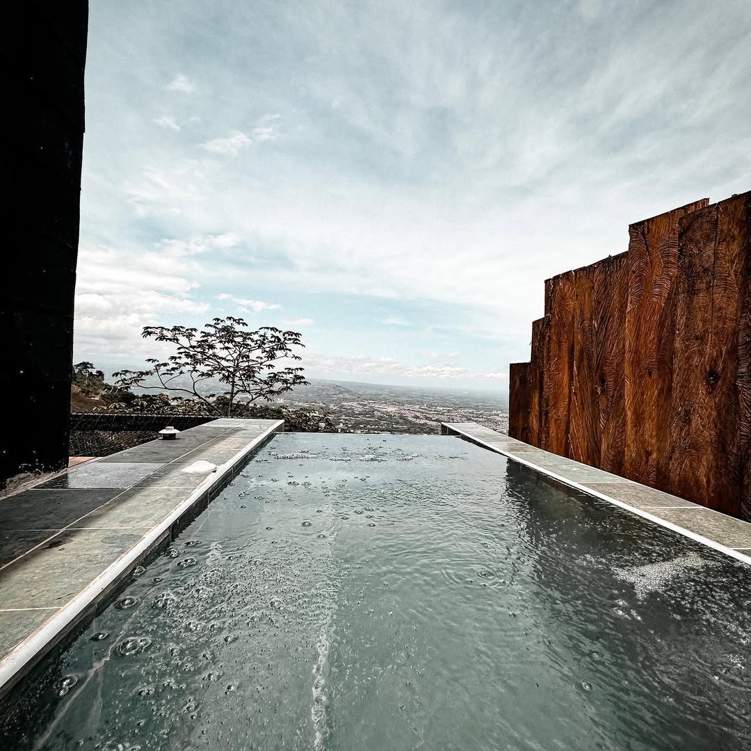 SELVA NEGRA — imagen 5