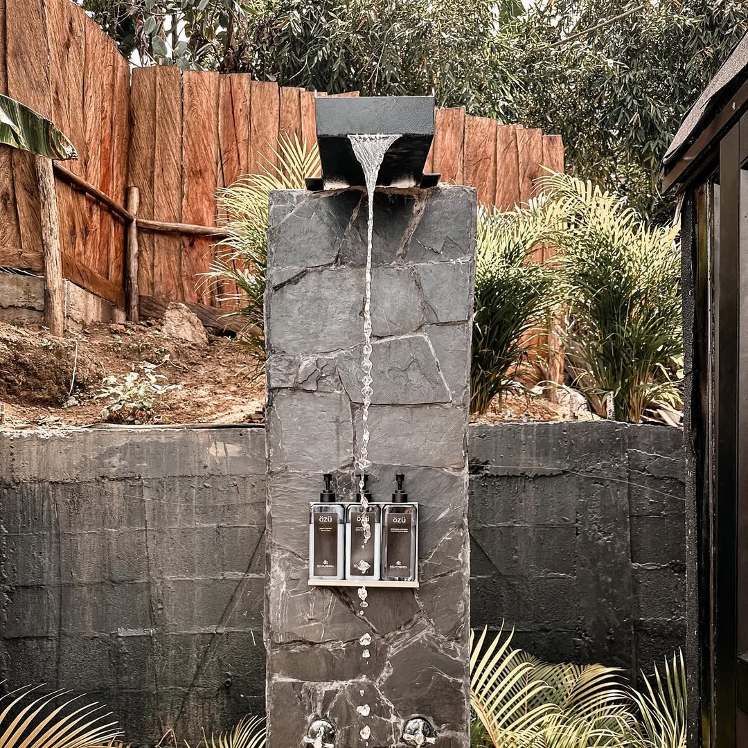 SELVA NEGRA — imagen 6