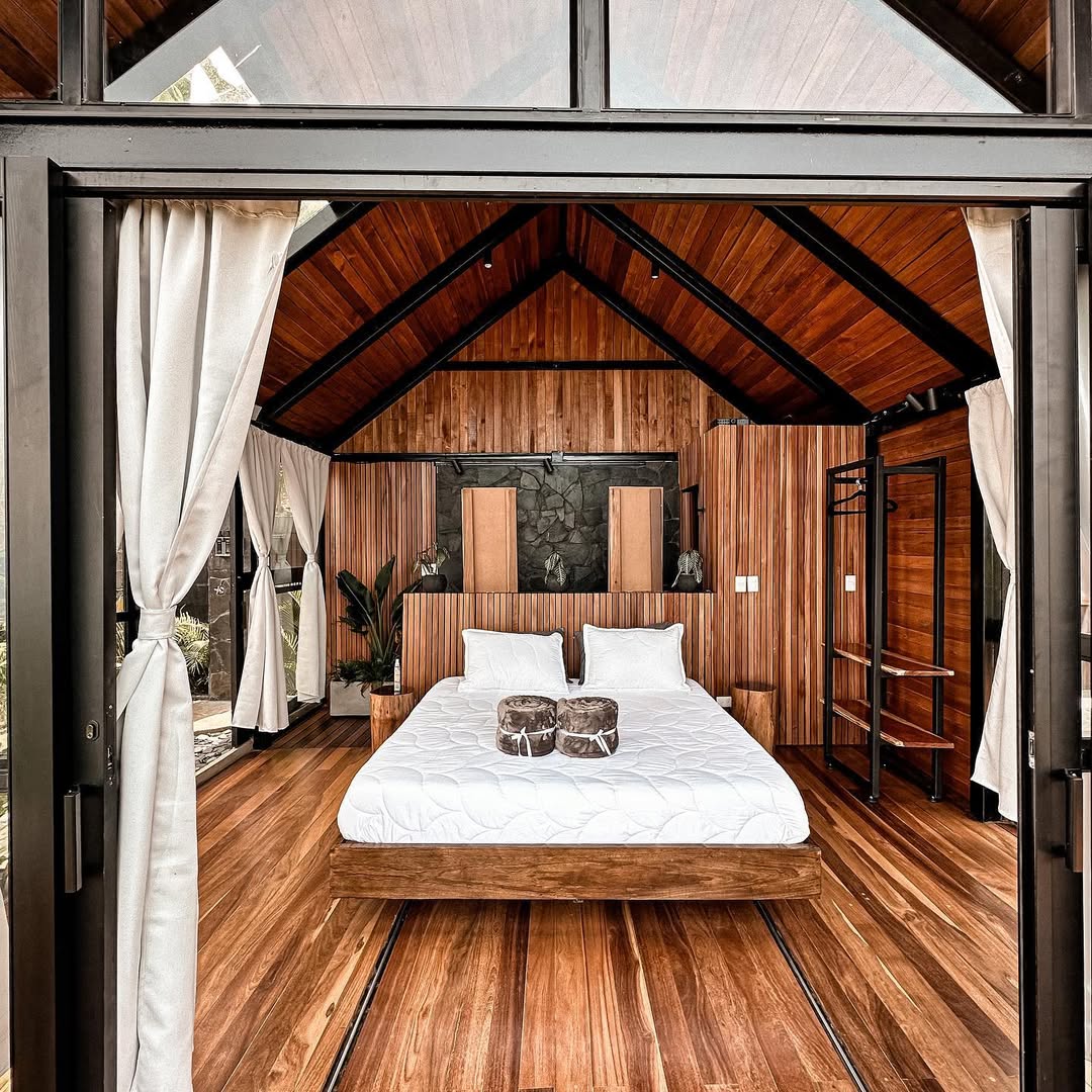 SELVA NEGRA — imagen 7